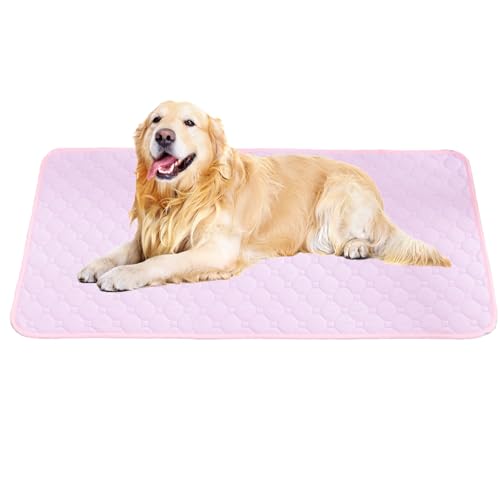 Image of BAMY 2 Pcs Washable Dog Pee Pads Absorbs Urine Pet Training Pads Non-Slip Waterproof Doggie Whelping Pad Reusable Dogs Mat Solid Brown Gray Blue Pink (Pink, M (28x20 inch))