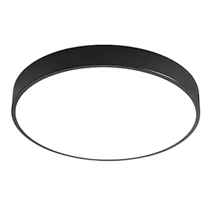 24W Plafondlamp, LED-plafondlamp, warm wit, 3000K, Ø40x5cm, moderne lamp voor woonkamer, slaapkamer, eetkamer, balkon, keuken, hal (zwart) [energieklasse A+]