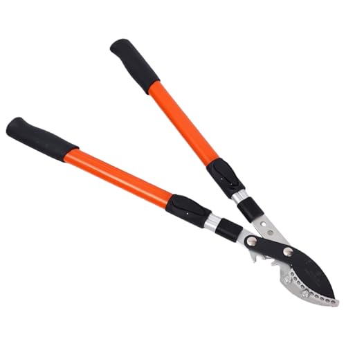 Jshigogo |p͂ }؂oT~ e}؂ Lk 68?98cm ΂ SK5Yf|n  ΂ |΂ }؂΂  ؂؂ ʎ C} |pi yʃA~ (IWF)