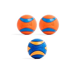 Chuckit! Ultra & Squeaker Ball – Pelota de juguete para perros de 20 a 60 libras, hecha de goma duradera, juguetes flotantes para mascotas, tamaño mediano, 2.5 pulgadas de diámetro, paquete de 3