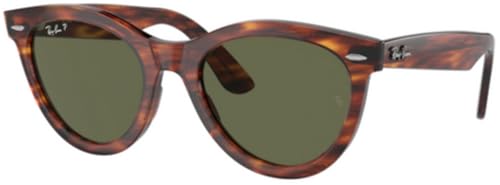 Ray-Ban RB2241 Sunglasses Bundle: RB 2241 WAYFARER WAY 954/58 Striped Havana/Green Polar Crystal Polarized and Eyewear Cleaning Kit