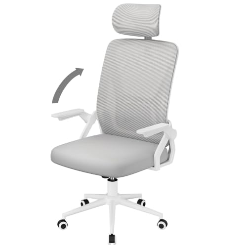 naspaluro Silla de Oficina, Silla de Oficina Ergonómica con Brazos Abatibles 90°, Soporte Lumbar de Diseño Exclusivo, Reposacabezas Ajustable, Tapicería de Malla Transpirable Escritorio, Gris