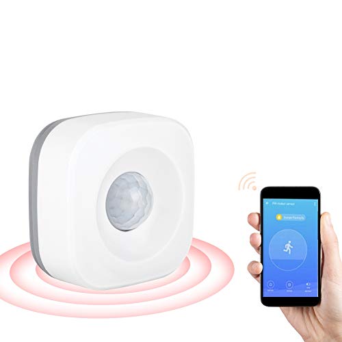 Best Wifi Driveway Sensor 2021 Where to Buy?