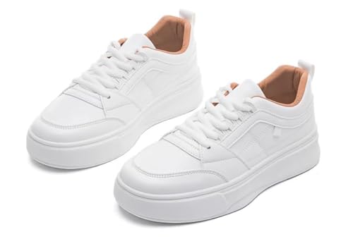 [le] Xj[J[ fB[X tC EH[LOV[Y ₷JWA _bhXj[J[ y jOV[Y [XAbv V[Y uE24.5