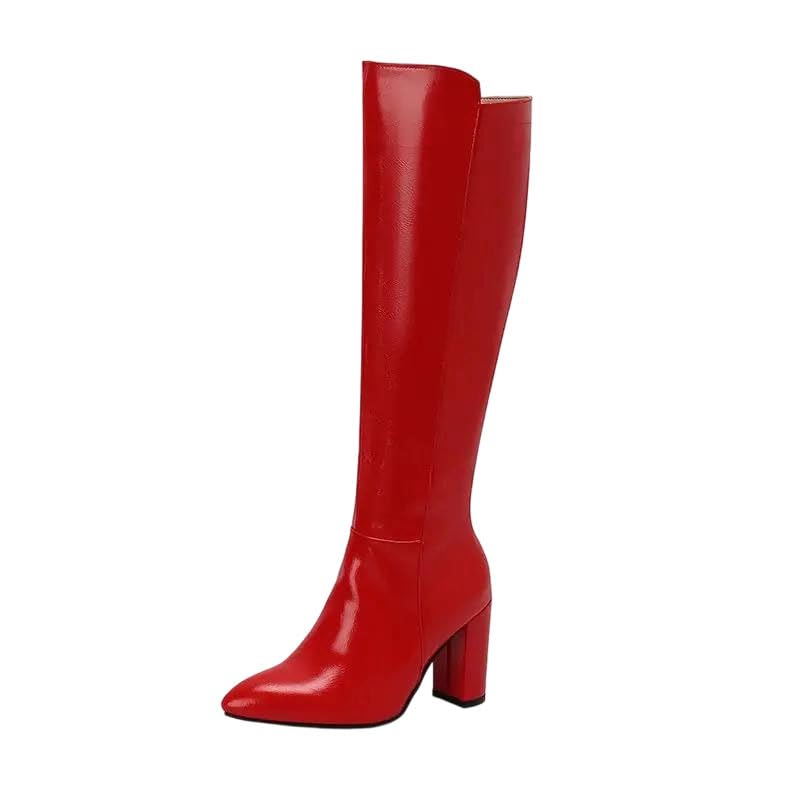 Womens Pointed Toe Knee High Modern Boots Side Zipper Closure Chunky High Heels Boots