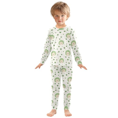 Fustylead Cute Cartoon Hedgehog and Green Hearts Pajamas Cotton Sleepover PJ Set Long Sleeve Lounge Wear3