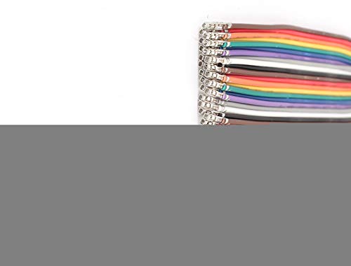 Cable Jumper 40Pin F/F 10cm Colorido miniatura 2