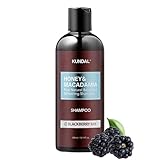 KUNDAL Natural Hair Shampoo [Blackberry Bay] Damage Hair Repair Strengthen, Nourish dry, with Honey, Argan Oil, Macadamia Oil, Free Paraben & Sulfate 10.14 Fl Oz (300ml)