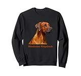 Raza de Perro Rhodesian Ridgeback Sudadera
