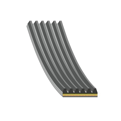 FEBI BILSTEIN Keilrippenriemen 184944
