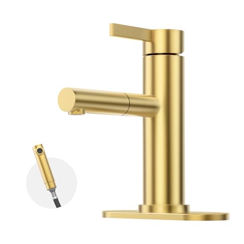 Phiestina Pull-Out Bathroom Faucet, Brushed Gold Single Handle with Pull