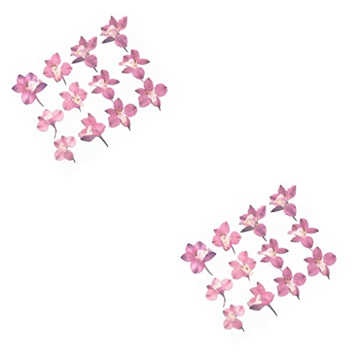 CUDDIKAJI 2 Flor Seca Pétalas Naturais Decorativa Segura Decoração Rosa Colorida