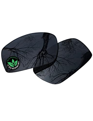 Image of Raydi Polycarbonate Replacement Lenses for Wiley X Valor Sunglass