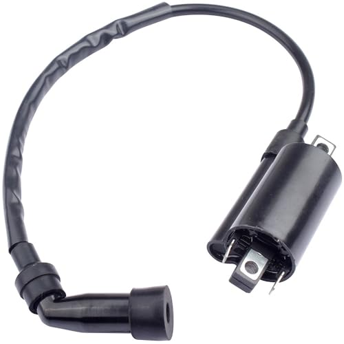 Bobine d'allumage pour Raptor 700 et YFM700R de 2006 à 2019