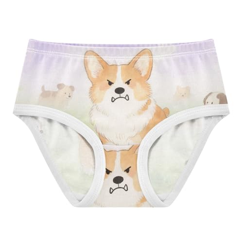 GuoChe Cotton Briefs Elastic Waistband Panties Comfort Underwear for Toddler in Sizes 2T,3T, 4T, 5T, 6Y and 8Y
