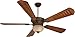 Craftmade K10685 DC Epic 70" Outdoor Ceiling Fan with 65 Watts Light Kit and Remote & Wall Control, 5 ABS Blades, Oiled Light Bronze
