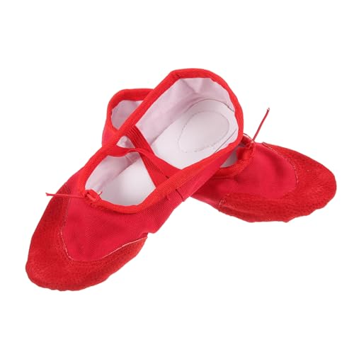 Mikinona Zapatos de Ballet para Adultos Banda Elástica Antideslizante PU Blanda Paraoga Moderna y Folclórica Talla