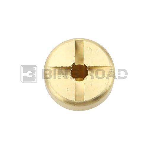 BINB ROAD Coolant Expansion Tank Bleeder Screw 17111712788 Compatible with BMW MINI 318i 320i 323i 325i 328i M3 330i 335d 525i 528i 530i 540i 740i 750il 840i 850ci X1 X3 X5 Z4 Z8