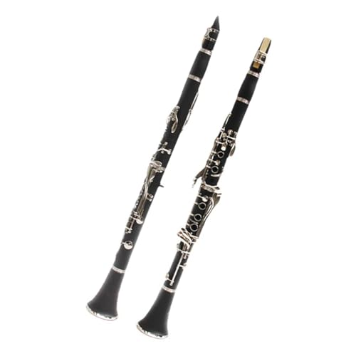 Nlbg Zbg Nlbg؊Ǌy평S҂̉tɓK B tbg 17 jbPbLL[S{fB