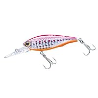 HARDCOREシャッドセット 51QRTq64aWL._UF350,350_QL50_.jpg