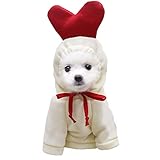 [Yindaity] 犬服 ペット服 かえる フルーツ コスチューム コスプレ変身 秋冬服 ドッグウェア 犬用 変身服 フード付き 犬の服 可愛い 柔らかい 小中型犬服 猫服 ペット用品 防寒 コート 人気 ファッション お散歩お出かけウェア(ホワイト,M)