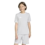 adidas Unisex-Kids Entrada26 Jersey, Team Light Grey/White, Medium