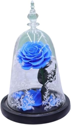 BianstarƖb a LO j v|[Y vU[uht[ 閂@̃o  MtgMtgZbgグ܂ (C) [sAi]