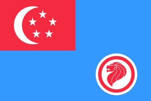 Drapeau XL Republic of Singapore Air Force cadeau pour passionné d'aviation