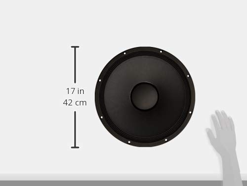 Amazon.com: Peavey 1505-8 KA DT BW RB : Electronics