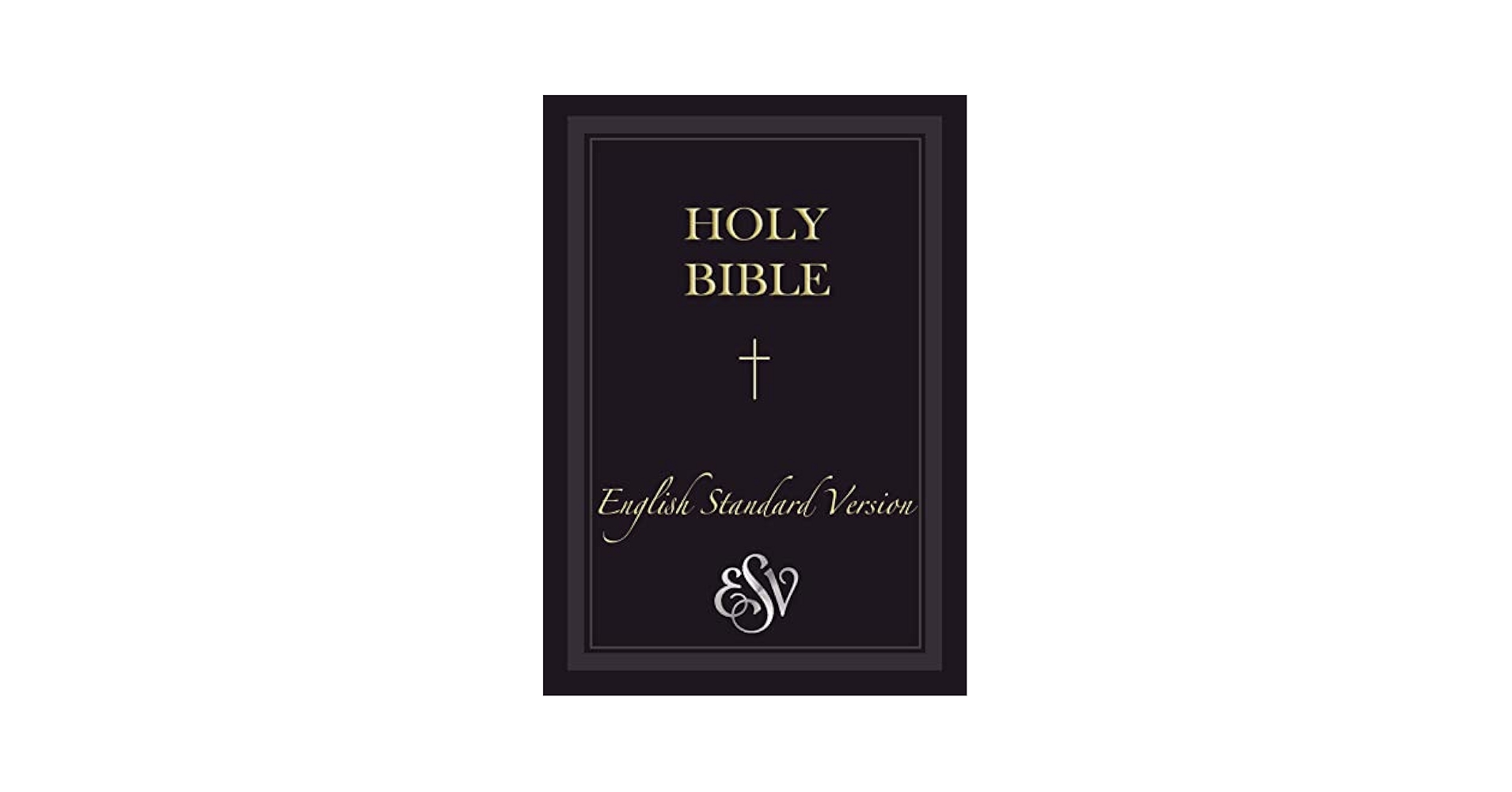 洋書 HOLY BIBLE ENGLISH STANDARD VERSION Holy Bible: English Standard Version.: Anonymous