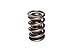 COMP Cams (953-1) 1.539" O.D. Dual Valve Spring