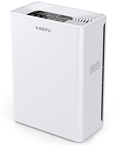 Amazon.co.jp: AMEIFU: 空気清浄機