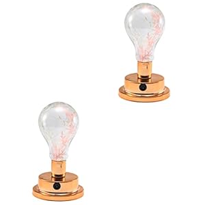 LABRIMP 2 Stks Kamer Voor Lamp Vormige Industriële Creatieve Fee Kerst Living Lezen Decor Decoratie Slaapkamers…