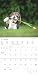 Funny Dogs 2024 - Broschürenkalender 30x30 cm (30x60 geöffnet) - Kalender mit Platz für Notizen - Hunde - Bildkalender - Wandkalender - Hundekalender