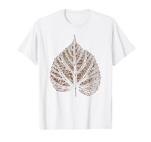 VimL̗t - RCvg - Aw 3 TVc