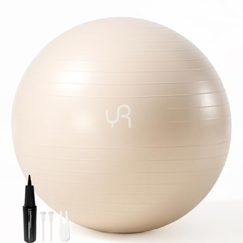 Anti Burst Yoga Bal 65cm Extra Dikke Gym Bal met Inhalatiebuis Antislip Oefenbal voor Yoga Pilates Arbeid Ballen Stoel voor Balans Core Training