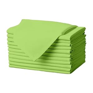 Gee Di Moda Cloth Napkins – 17 x 17 Inch Apple Green Dinner Napkins – Set of 12 Soft & Absorbent Washable Fabric Cloth Table Napkins with Hemmed Edges for Hotel Restaurant, Holiday Parties & Wedding