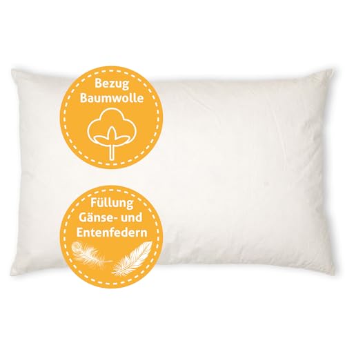 Kissenoutlet24 Federkissen 50x60cm Füllung 640g Bezug Baumwolle Farbe Creme Made in Germany