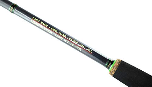 Bullseye Jig Whip Rute 2,70m 40-80g - Spinnrute zum Hechtangeln & Zanderangeln, Jigrute für Gummifische & Jigs, Hechtrute