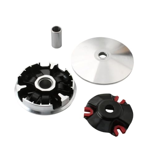Kit variateur de course avec galets 10g pour BWS 100 - 2