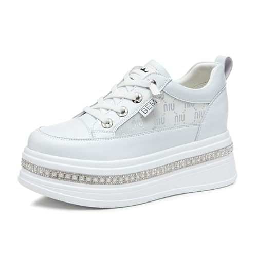 [TQAZQA] Xj[J[ fB[X V[NbgV[Y JWAV[Y  Xj[J[ [Jbg X^C01 nCq[ y bV [XAbv ʊw   25.0 cm 