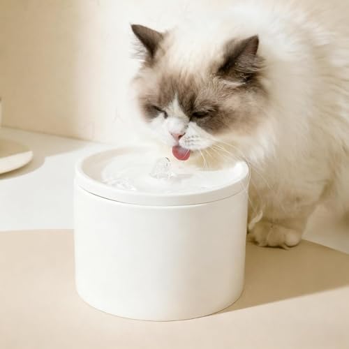 Fiozwea tBIYEBAZ~bNybgpݏAe 1000mlAÉEH[^[|vAdItAȒPAHEPA tB^[tAL⌢ɓKĂ܂ (sN)B (zCg)