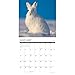 Willow Creek Press, Wildlife 2026 Wall Calendar, 12'' X 12'', 18-Month Calendar with Spiral Binding