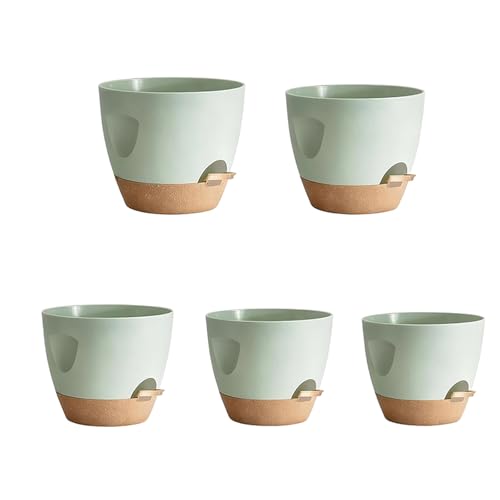BABIBAOBEI Lot de 5 bols de jardin amovibles pour arroser les plantes pendant les vacances, entretien des plantes, plantes décoratives et automatiques