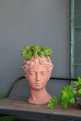 7x11 Head Bust Planter, Brown - Classical Indoor/Outdoor Cement Planter