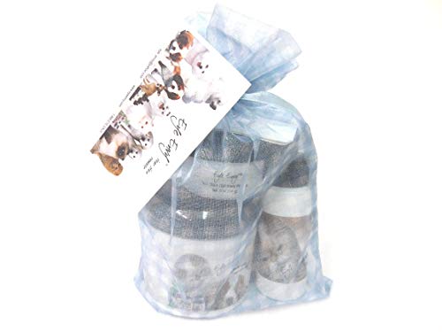 Eye Envy kit de démarrage