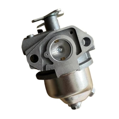 Carburateur EA190V pour préparer la terre du potager au printemps