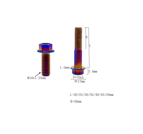 Image of Rison Titanium Flanged Hex Head Bolt M10x1.25x40mm 6AL4V Aerospace Grade Ti Bolt Burnt Blue Pack of 5