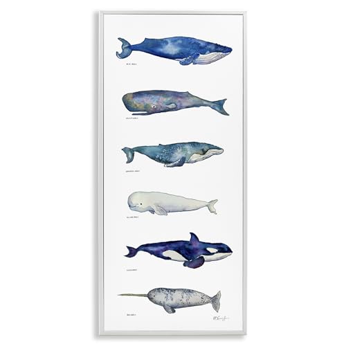 Maritime Sea Life Chart Nautical, 10 x 24 Inch Framed Giclée Print
