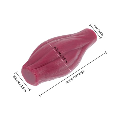 Modèle musculaire haut de gamme en silicone pour anatomie - 2